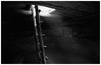 Ladder through a smoke hole in Spruce Tree house. Mesa Verde National Park, Colorado, USA. (black and white)