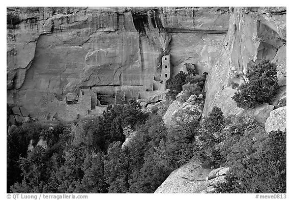 Square Tower house and trees, dusk. Mesa Verde National Park, Colorado, USA.