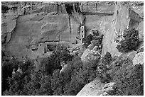 Square Tower house and trees, dusk. Mesa Verde National Park, Colorado, USA. (black and white)