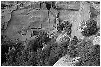 Square Tower house and trees, dusk. Mesa Verde National Park, Colorado, USA. (black and white)