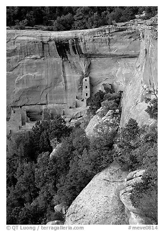 Square Tower house and trees, dusk. Mesa Verde National Park (black and white)