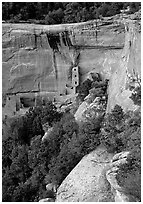 Square Tower house and trees, dusk. Mesa Verde National Park, Colorado, USA. (black and white)