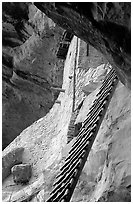 Balcony House ladder, afternoon. Mesa Verde National Park, Colorado, USA. (black and white)