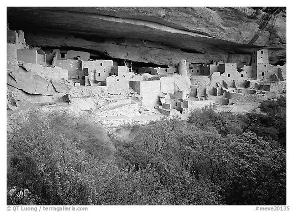 Cliff Palace ruin in rock alcove. Mesa Verde National Park (black and white)