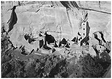 Square Tower house, the park's tallest ruin, afternoon. Mesa Verde National Park ( black and white)