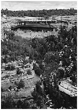 Cliff Palace seen from across valley in winter. Mesa Verde National Park ( black and white)