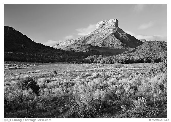 Meadows and mesas near the Park entrance, early morning. Mesa Verde National Park (black and white)