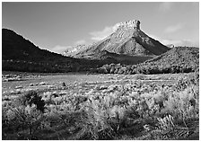 Meadows and mesas near the Park entrance, early morning. Mesa Verde National Park ( black and white)