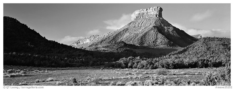 Lookout Peak and meadow. Mesa Verde National Park (black and white)