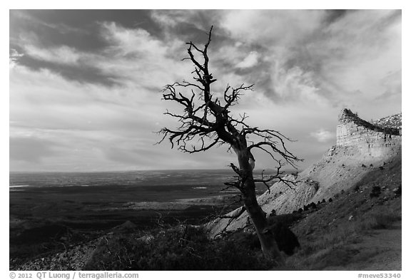 Montezuma Valley Overlook. Mesa Verde National Park, Colorado, USA.