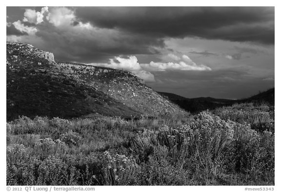 Prater Canyon, afternoon storm. Mesa Verde National Park, Colorado, USA.