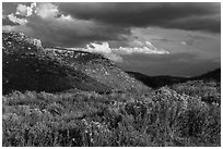 Prater Canyon, afternoon storm. Mesa Verde National Park, Colorado, USA. (black and white)