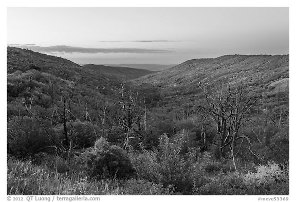 Canyon slopes covered in fall foliage at sunrise. Mesa Verde National Park (black and white)