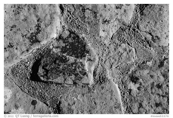 Close up of wall, Coyote Village. Mesa Verde National Park (black and white)