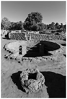 Oven and kiva, Coyote Village. Mesa Verde National Park, Colorado, USA. (black and white)