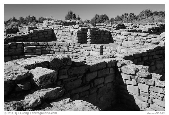 Mesa top  Ancestral Puebloan ruin. Mesa Verde National Park (black and white)