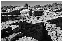 Mesa top  Ancestral Puebloan ruin. Mesa Verde National Park ( black and white)