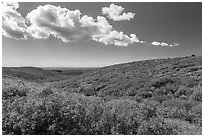 Clouds and slopes with autumn colors. Mesa Verde National Park ( black and white)