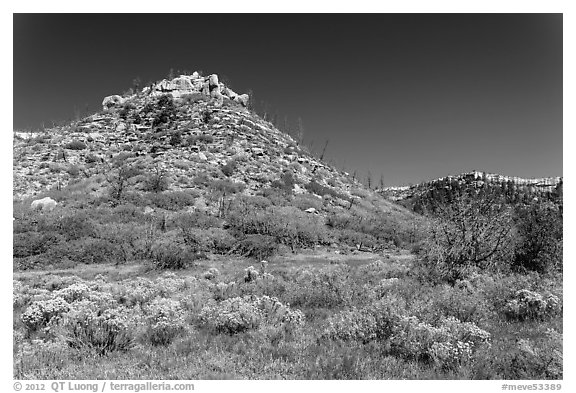 Mesas in autumn. Mesa Verde National Park (black and white)