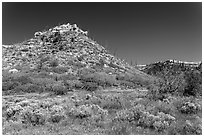 Mesas in autumn. Mesa Verde National Park, Colorado, USA. (black and white)