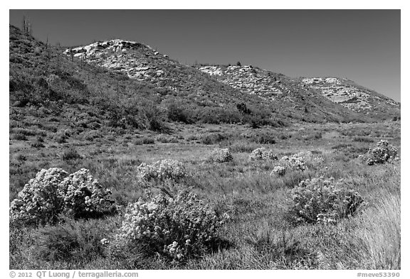 Pratter Canyon in autumn. Mesa Verde National Park (black and white)