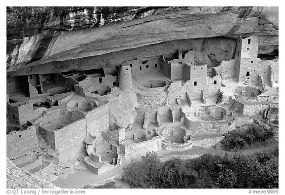 Cliff Palace sheltered by rock overhang. Mesa Verde National Park (black and white)