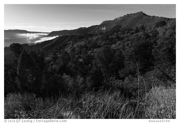 Early morning, Mancos Valley Overlook. Mesa Verde National Park (black and white)