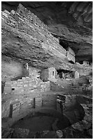 Kiva and structures built on ledge, Mug House. Mesa Verde National Park ( black and white)