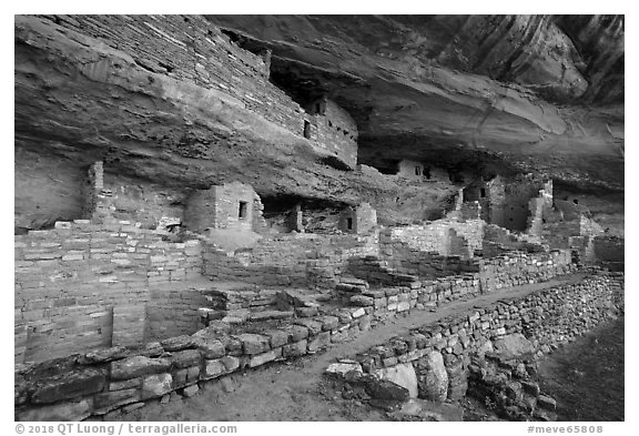 Mug House Ancestral pueblo. Mesa Verde National Park (black and white)