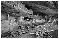 Mug House Ancestral pueblo. Mesa Verde National Park ( black and white)