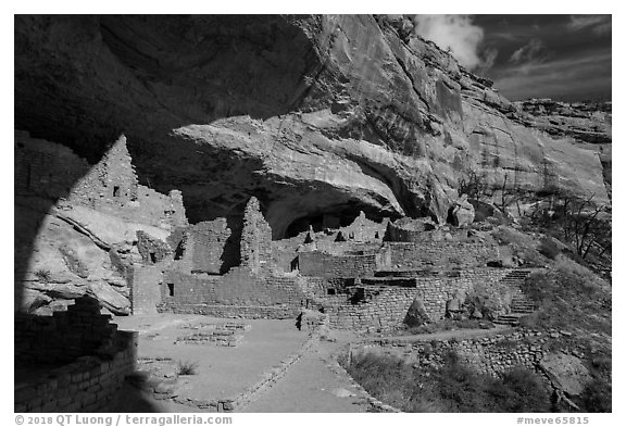 Long House, Wetherill Mesa. Mesa Verde National Park (black and white)