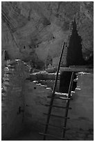 Ladder and ruined walls, Long House. Mesa Verde National Park ( black and white)