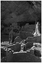 Ruined Ancestral Puebloan walls, Long House. Mesa Verde National Park ( black and white)