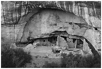 Oak Tree House, Chapin Mesa. Mesa Verde National Park ( black and white)