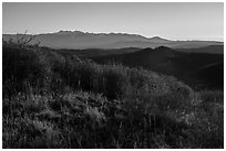 Shrubs and mountains at sunrise from Park Point. Mesa Verde National Park ( black and white)