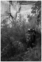 Tour participants hike to Square Tower House. Mesa Verde National Park ( black and white)