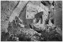 Square Tower House Ancestral Puebloan dwelling. Mesa Verde National Park ( black and white)