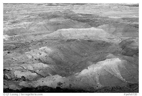 Painted Desert, morning. Petrified Forest National Park, Arizona, USA.