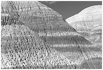 Erosion formations in Blue Mesa. Petrified Forest National Park, Arizona, USA. (black and white)