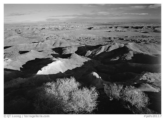 Ridges over badlands of Painted Desert, morning. Petrified Forest National Park (black and white)