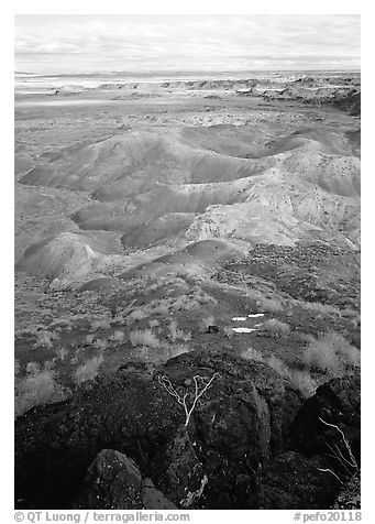 Mud, sandstone and volcanic ash color  painted desert, morning. Petrified Forest National Park (black and white)