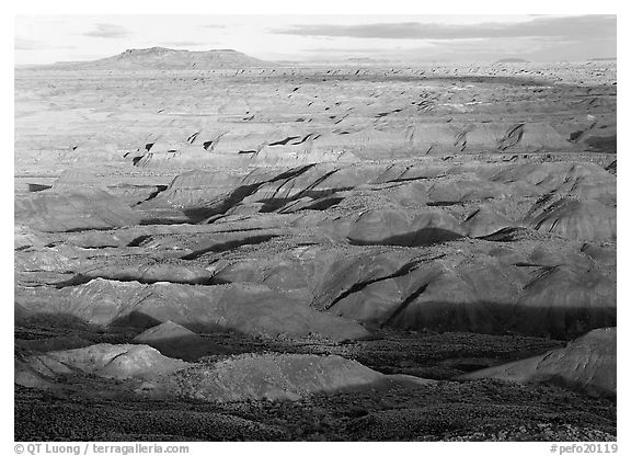 Painted Desert, early morning. Petrified Forest National Park (black and white)