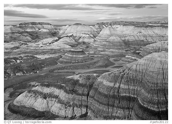 Blue Mesa basin at dusk. Petrified Forest National Park (black and white)