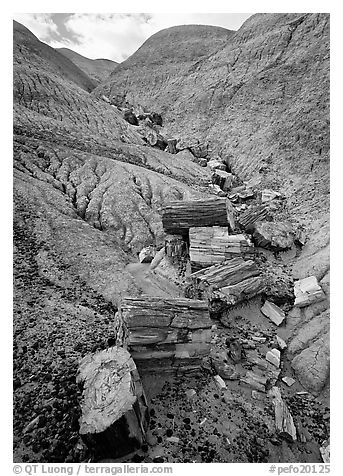 Triassic Era petrified logs and Blue Mesa. Petrified Forest National Park (black and white)