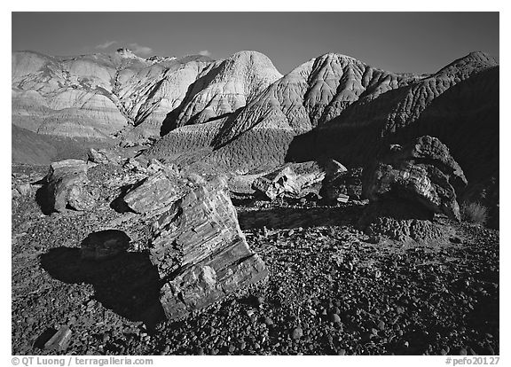 Petrified log section in Blue Mesa, afternoon. Petrified Forest National Park (black and white)