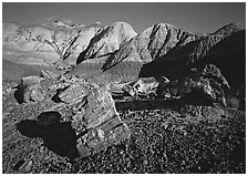 Petrified log section in Blue Mesa, afternoon. Petrified Forest National Park, Arizona, USA. (black and white)