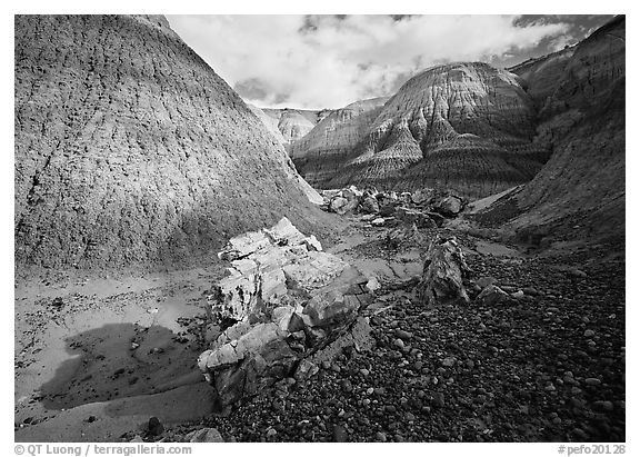 Petrified log in Blue Mesa. Petrified Forest National Park (black and white)