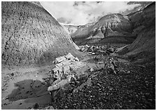 Petrified log in Blue Mesa. Petrified Forest National Park ( black and white)