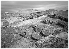 Petrified log and prehistoric-looking badlands. Petrified Forest National Park ( black and white)