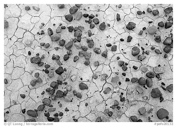 Close-up of mud cracks and colorful stones. Petrified Forest National Park (black and white)